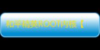和平精英ROOT内核【lightning】外挂